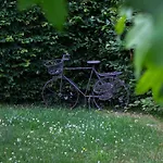 Heidetraeume