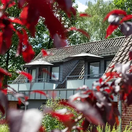 Apartament Heidetraeume