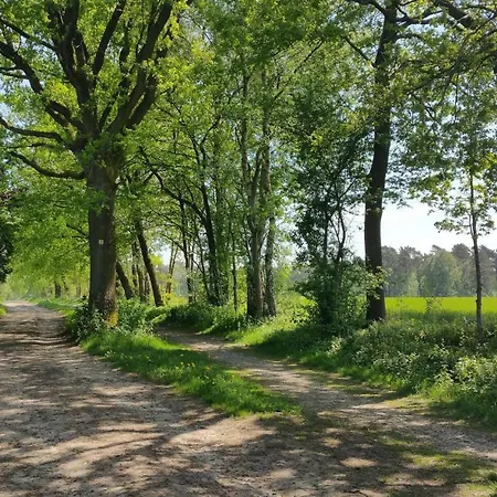 Heidetraeume Appartamento Undeloh