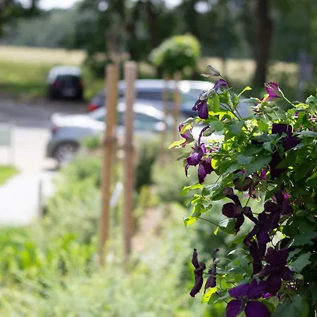 Heidetraeume Undeloh